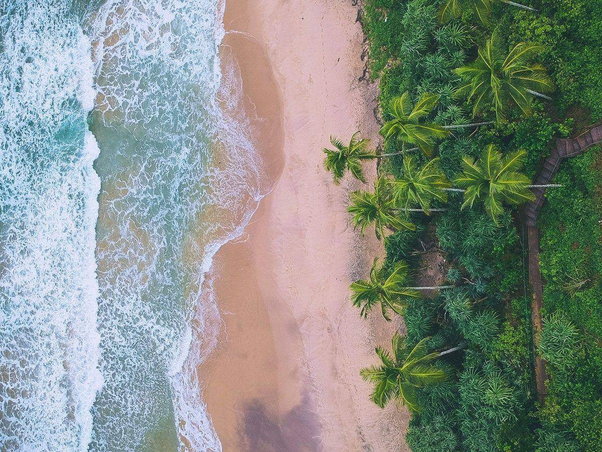 Aerial view of the beach