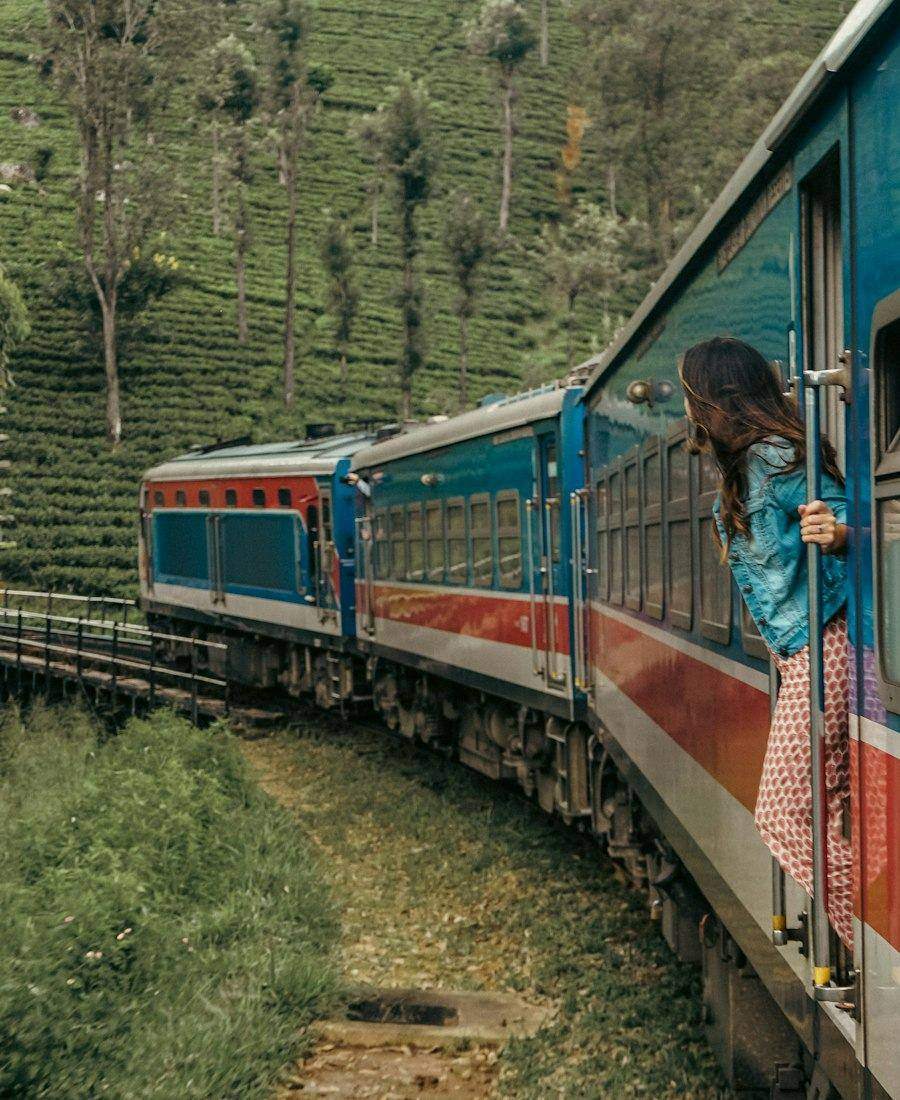 Blue train in the hills